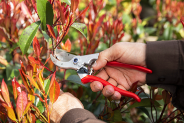 FELCO 4 | Einhand Baum-, Reb-, Gartenschere | Leistung | Basismodell | Baumschnitt 1